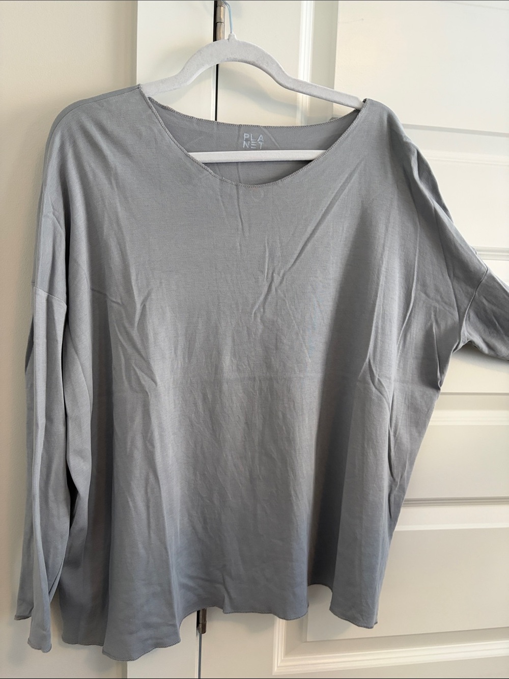 Light Gray Relaxed Long Sleeve Top - Planet